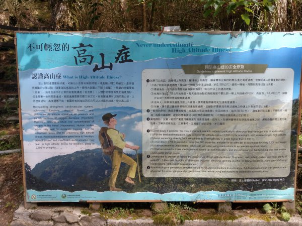 高雄/花蓮/台東-嘉明湖-向陽山-三叉山3053713