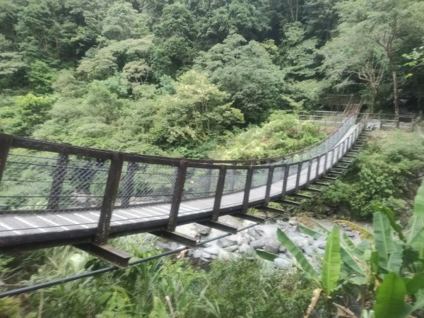 1150728新寮瀑布步道3096883
