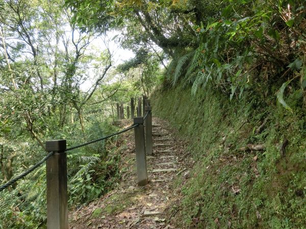 平湖森林步道．內平林山109382