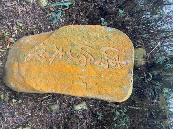 苗栗三義-三員縱走2616443