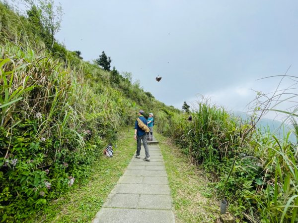 淡蘭中路（暖暖車站-十分車站）1685527