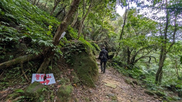114.11.15平溪小黃山段-望古瀑布段之旅2937796