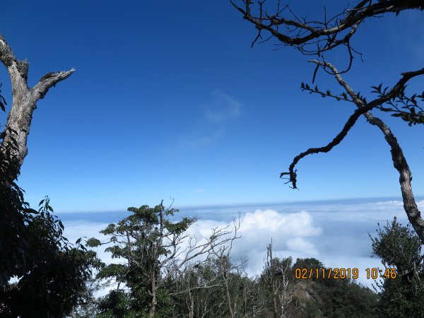 加里山雲海美景725086