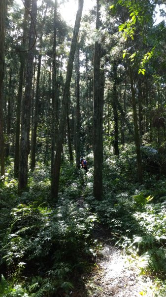 雲森瀑布 + 組合山 490674