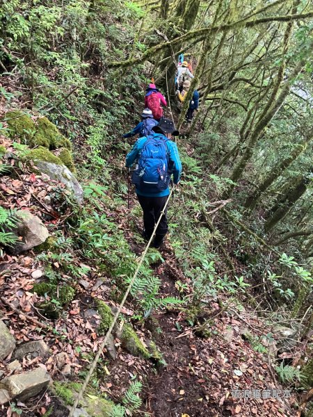 【佐米縱走】走進迷霧森林尋找千歲神木，參加一場巨木群的盛宴2888772