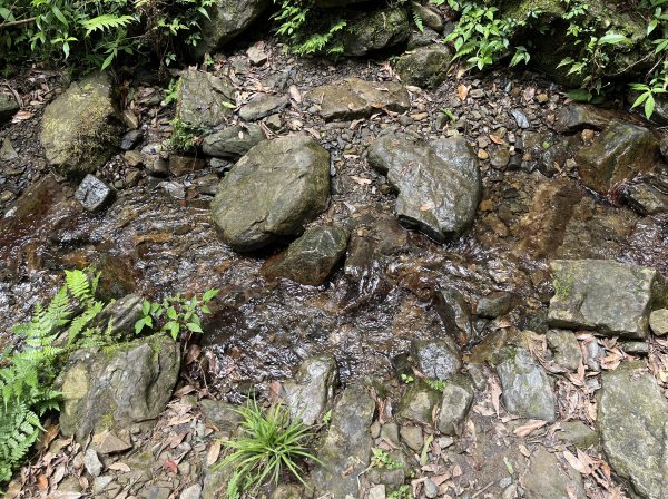 2025_0601 北插天山2802343