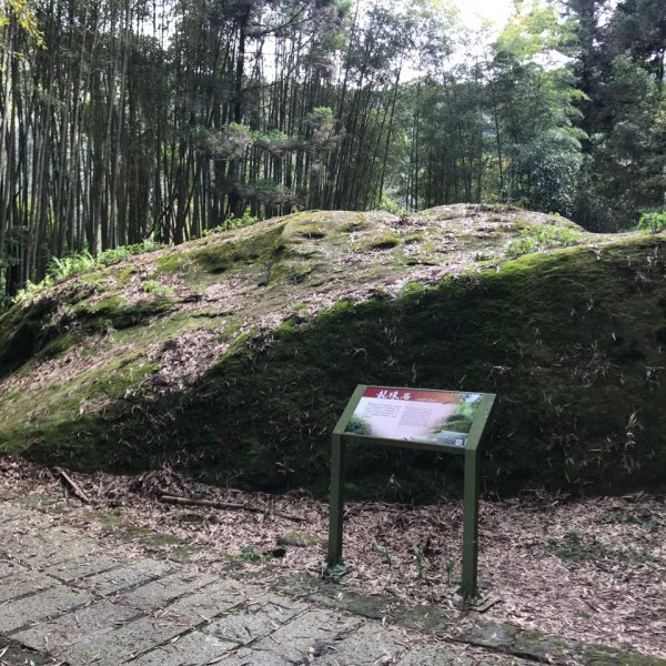 大凍山步道，頂湖出發935516