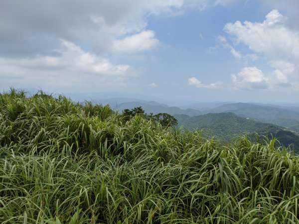 獅公髻尾山 火燒寮山1083828