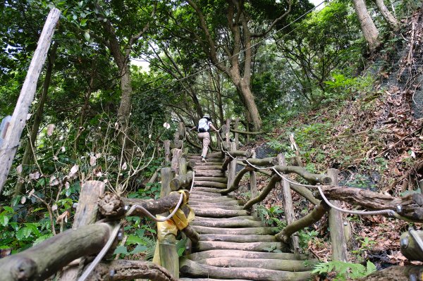 大坑四號步道_頭嵙山3079506