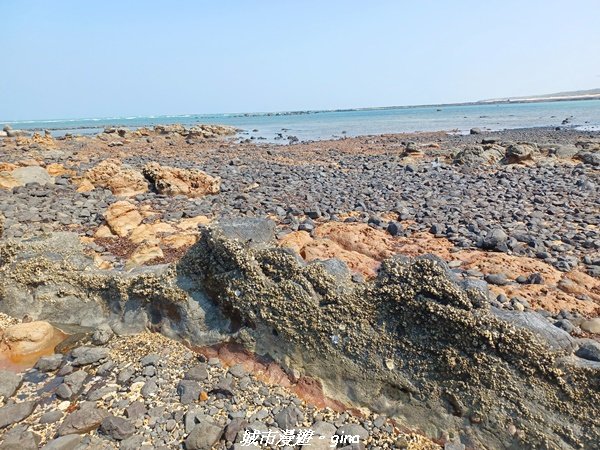 【澎湖湖西】跳島小旅行~潮汐限定的美景。 奎壁山海底步道1889623