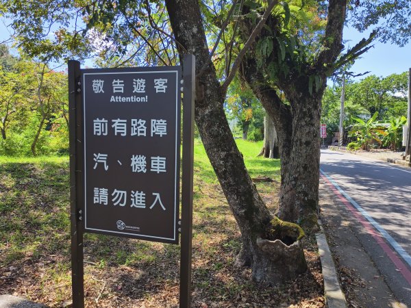 [漫遊縱谷 愛在花東-07/10] 2025_1012 花蓮鯉魚山步道群2913396