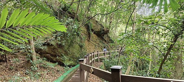 2025/04/13_大窩文史生態區步道2760239