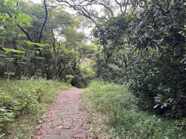 [皮皮獅探險隊-02/10] 2025_0706 漢卿步道、秀才步道2830924