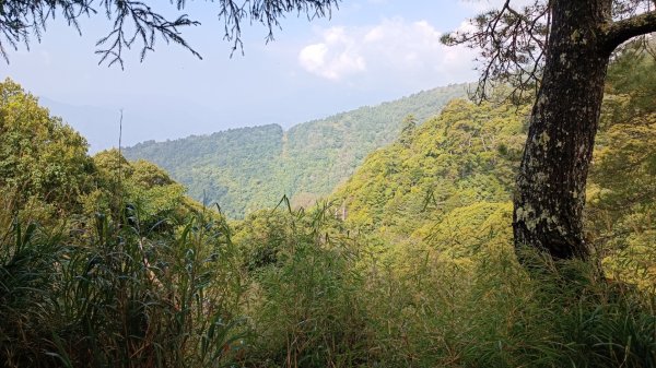 小百岳:南華山2092891