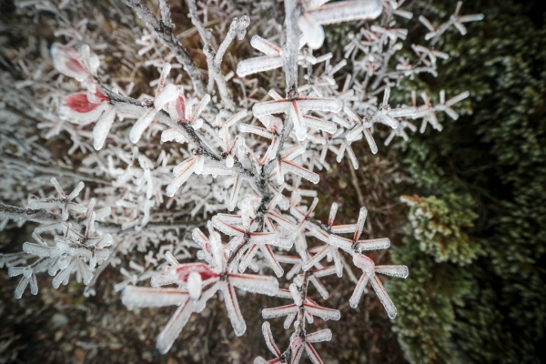 霜降東小南山25740