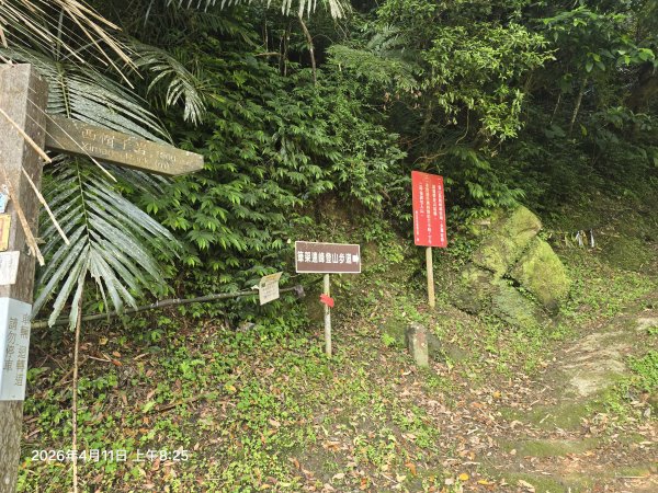 2026-04-11微笑山線：【二格山系】筆架連峰段3034541