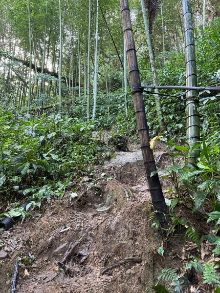 陡上陡下的溪頭鳳凰山1872913