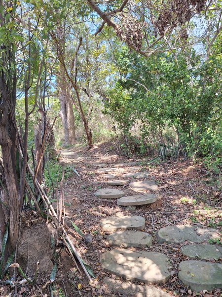 造橋口山古道202503122734385