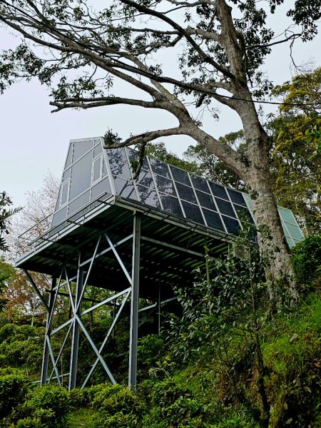 藤枝山-小百岳#68-高雄市桃源區2750332