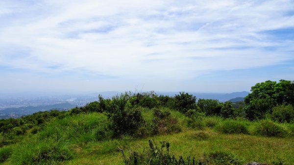 荷蘭古道,北五指山,瑪礁古道1814430