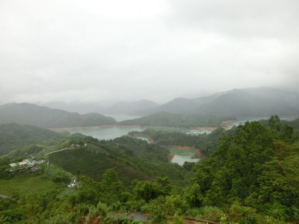千島湖．八卦茶園．永安景觀步道162616