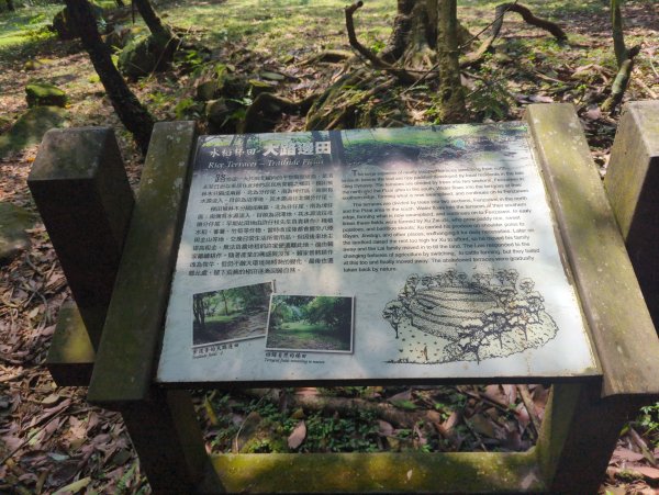 2025.04.27－金包里大路~小油坑縱走2770912