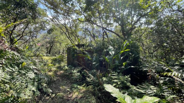銀河洞越嶺貓空-新高麗坑山-銀獅縱走-猴山岳群峰+三條魚縱走2701012