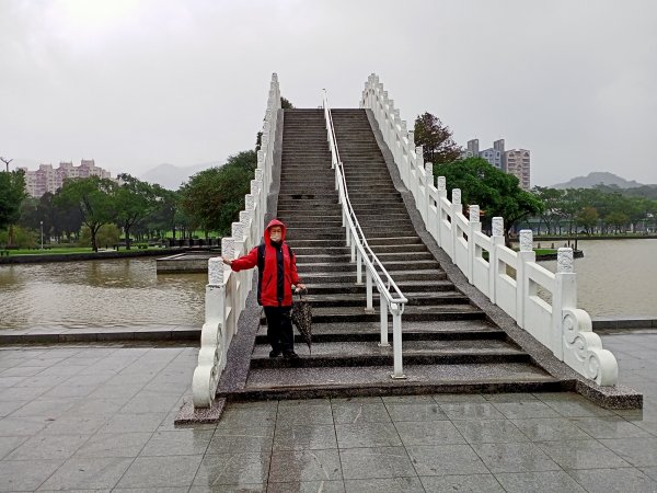 內湖大港墘公園、大湖公園 (防災公園) 【走路趣尋寶】1896643