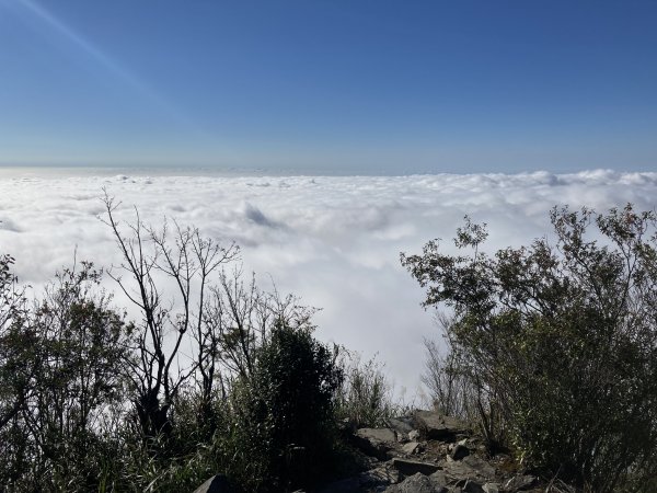 北大武山-西大武山-日湯真1573128