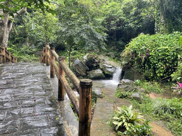 台北大縱走第四段2798731