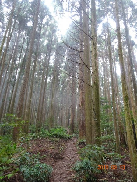 高島縱走684237