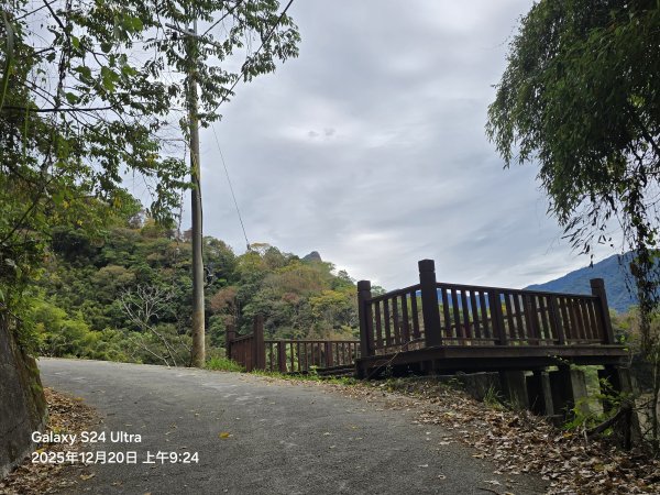 2025-12-20橫龍古道2967546