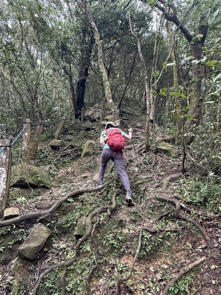 獅仔頭山 2025.07.202864264