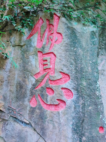 和美山登山步道、灣潭山 O 型1999023