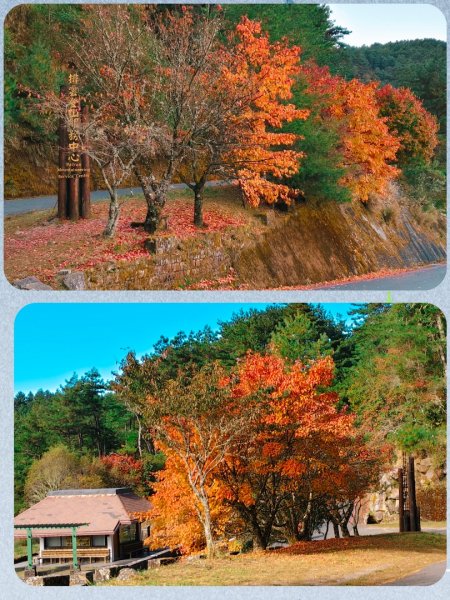 麟趾山、鹿林山、鹿林前山三山縱走(塔塔加三山)2990374