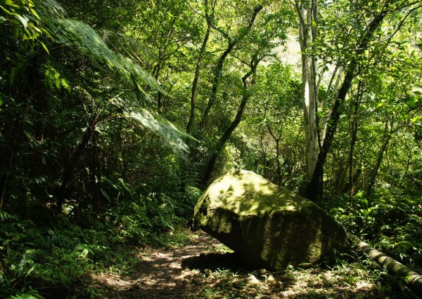 牡丹、燦光寮古道、九份1095922