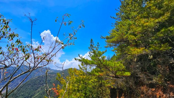 112.04.16 玉山前峰2123755