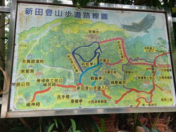 潭子新田山步道2698629
