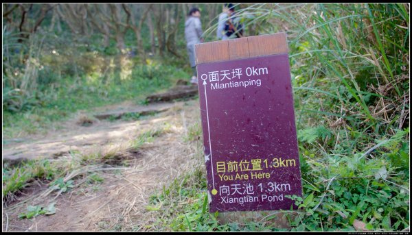 大屯山：向天池、向天山、面天山、大屯山915350