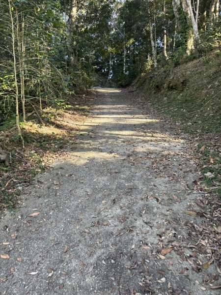 20251207藤枝山步道2957632