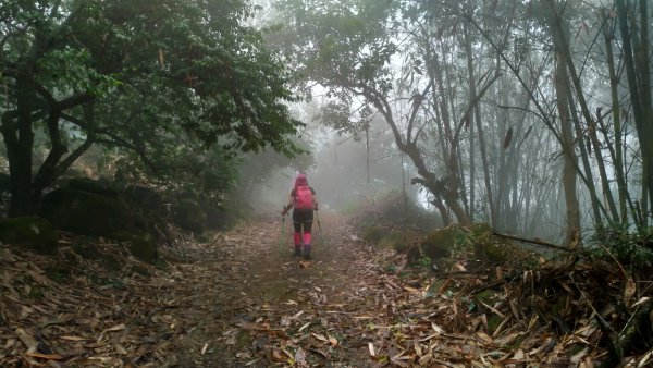 小百岳【三腳南山】915726