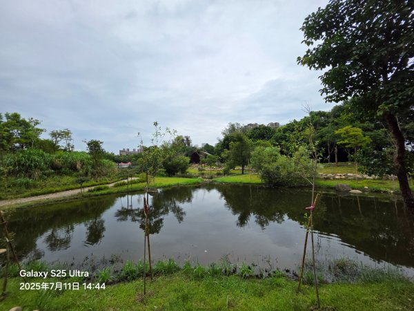 霄裡好風光，運動樂悠遊！2834379