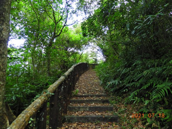 新北 雙溪 西九份坑山1426891