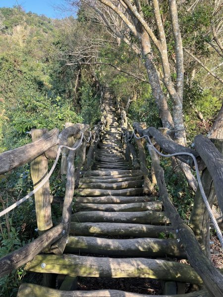 大坑二號步道2711569