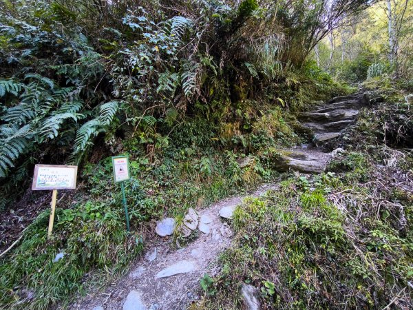 2026-02-09 庫哈諾辛山2999038