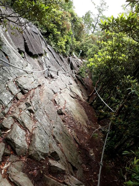 鳶嘴山131687