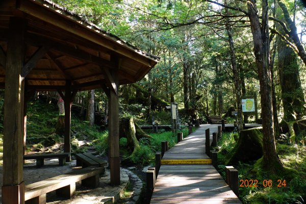 宜蘭 大同 太平山森林遊樂區1743645