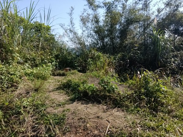 基隆市曾子寮山+大德山+摩天嶺+九華山+龍鳳山+火號山+球子山燈塔+白米甕砲台+白米甕尖+基隆燈塔3006513