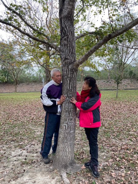 四訪苗栗的花果山-小百岳#037馬那邦山、雪霸國家公園管理處【小百岳集起來、苗栗-臺灣百大必訪步道】2394259