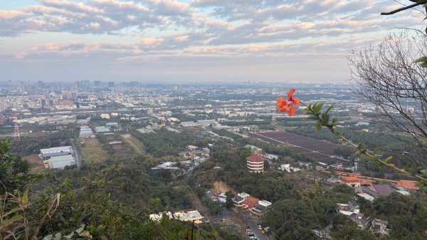 觀音山連峰3000309